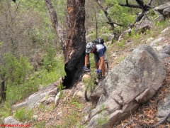 20070114-Coba 306 